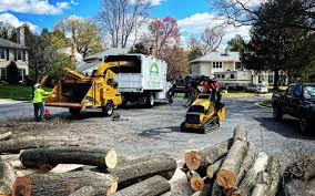Best Tree Risk Assessment  in Berlin, WI