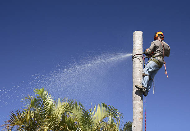 Best Lawn Watering Services  in Berlin, WI
